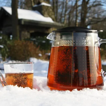 Hotel Hotel-restaurant Haus Berkenbaum