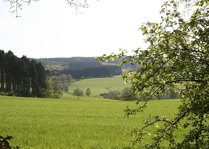 فندق Hotel-restaurant Haus Berkenbaum 3*