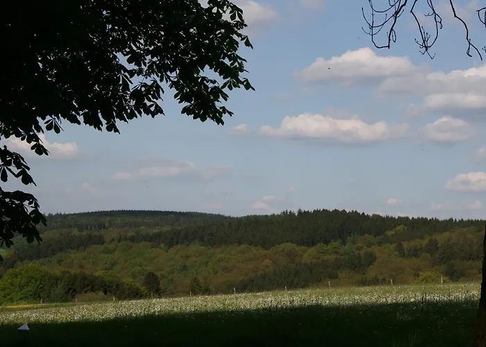 贝尔肯鲍姆酒店-餐厅 酒店